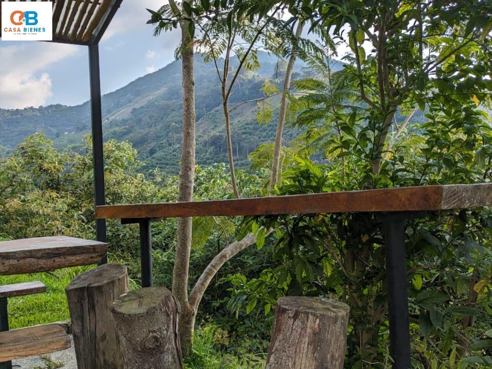 WhatsApp Image 2024-04-19 at 8.14.06 PM (3)