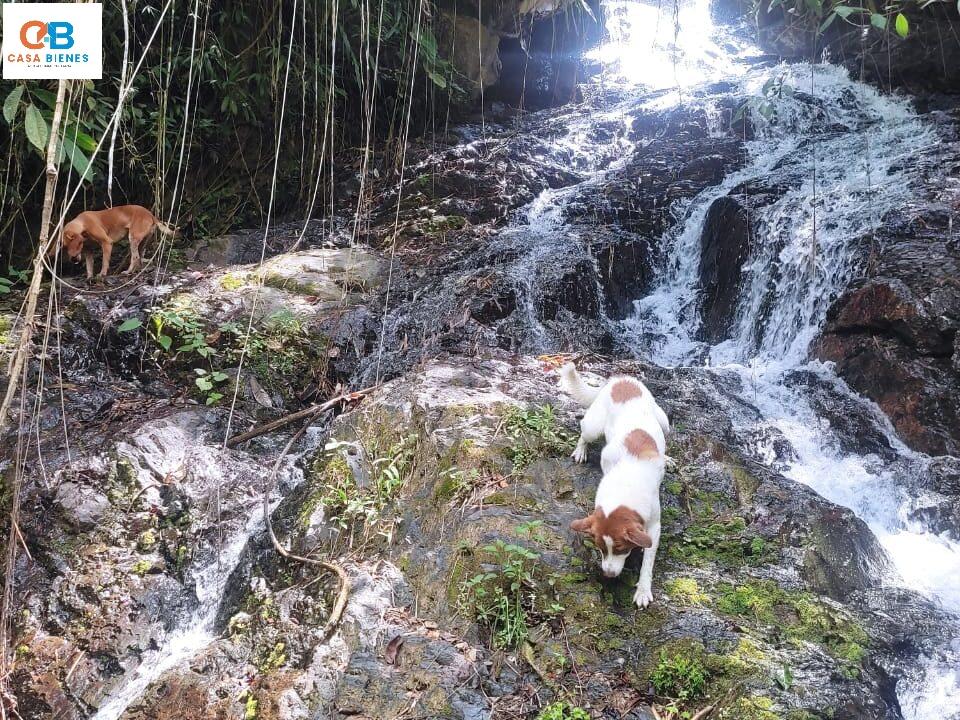 WhatsApp Image 2024-04-19 at 8.14.08 PM (1)