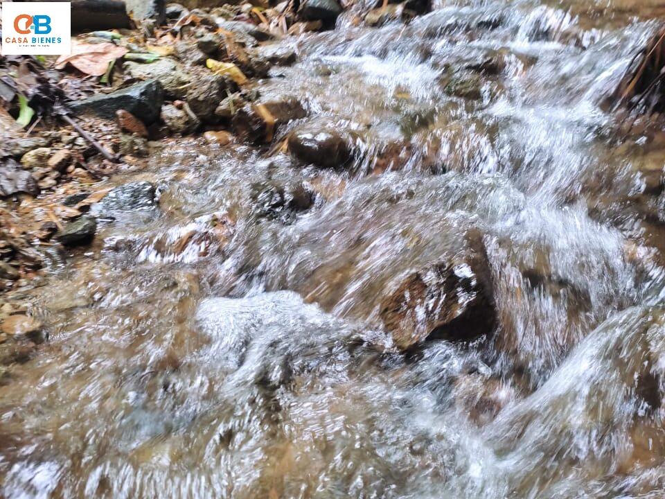 WhatsApp Image 2024-04-19 at 8.14.08 PM