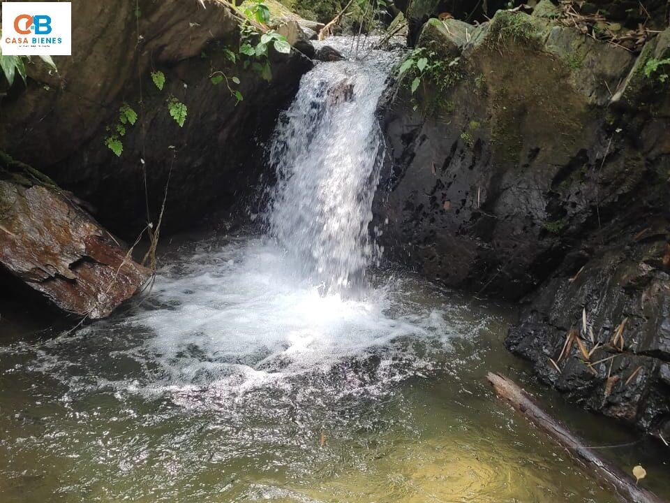 WhatsApp Image 2024-04-19 at 8.14.11 PM