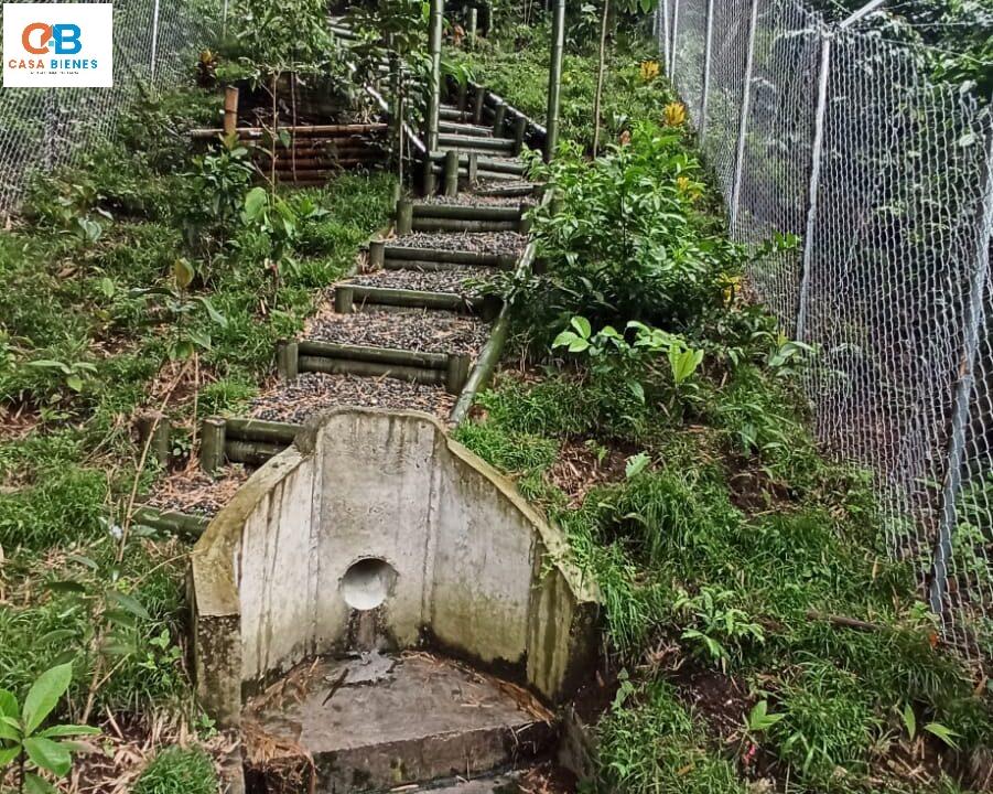 WhatsApp Image 2024-05-09 at 9.02.17 PM (1)