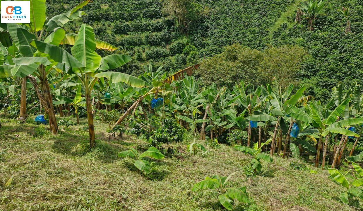 WhatsApp Image 2024-05-13 at 9.17.12 PM