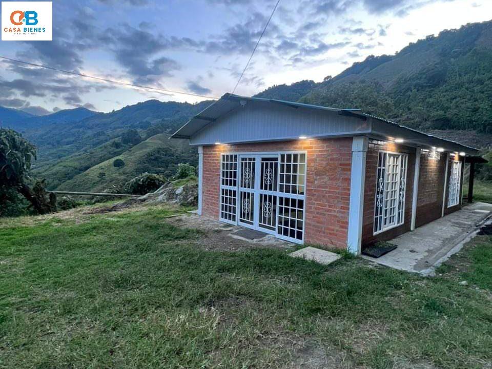 WhatsApp Image 2024-05-15 at 3.16.11 PM (2)