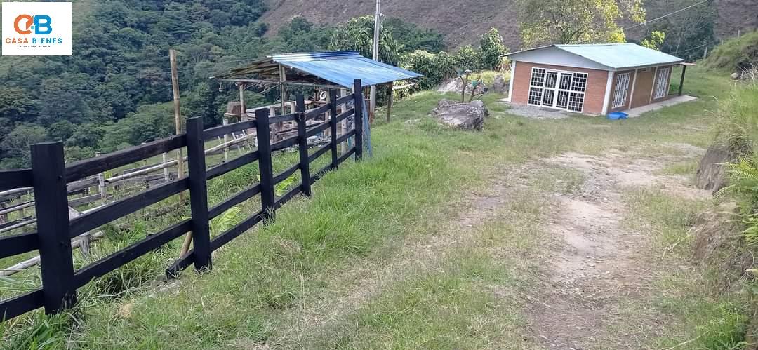 WhatsApp Image 2024-05-15 at 3.16.12 PM (3)