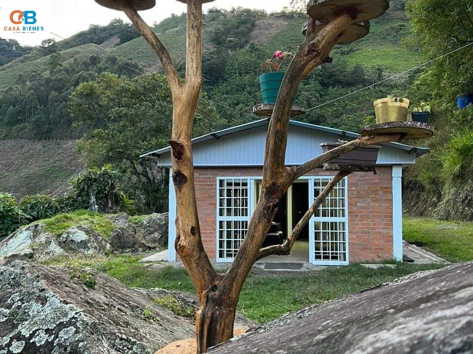 WhatsApp Image 2024-05-15 at 3.16.12 PM