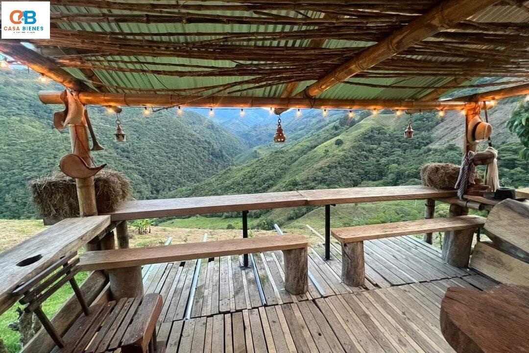 WhatsApp Image 2024-05-15 at 3.16.13 PM (1)