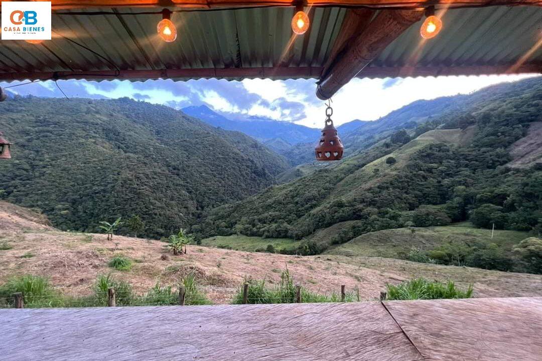 WhatsApp Image 2024-05-15 at 3.16.14 PM (2)