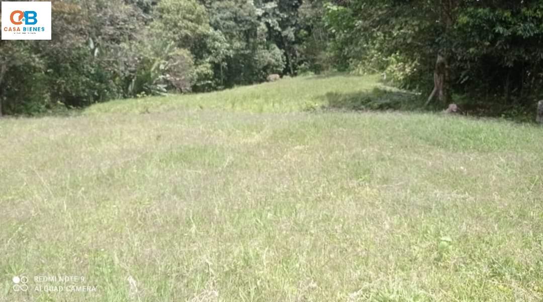 WhatsApp Image 2024-05-15 at 3.16.14 PM (3)