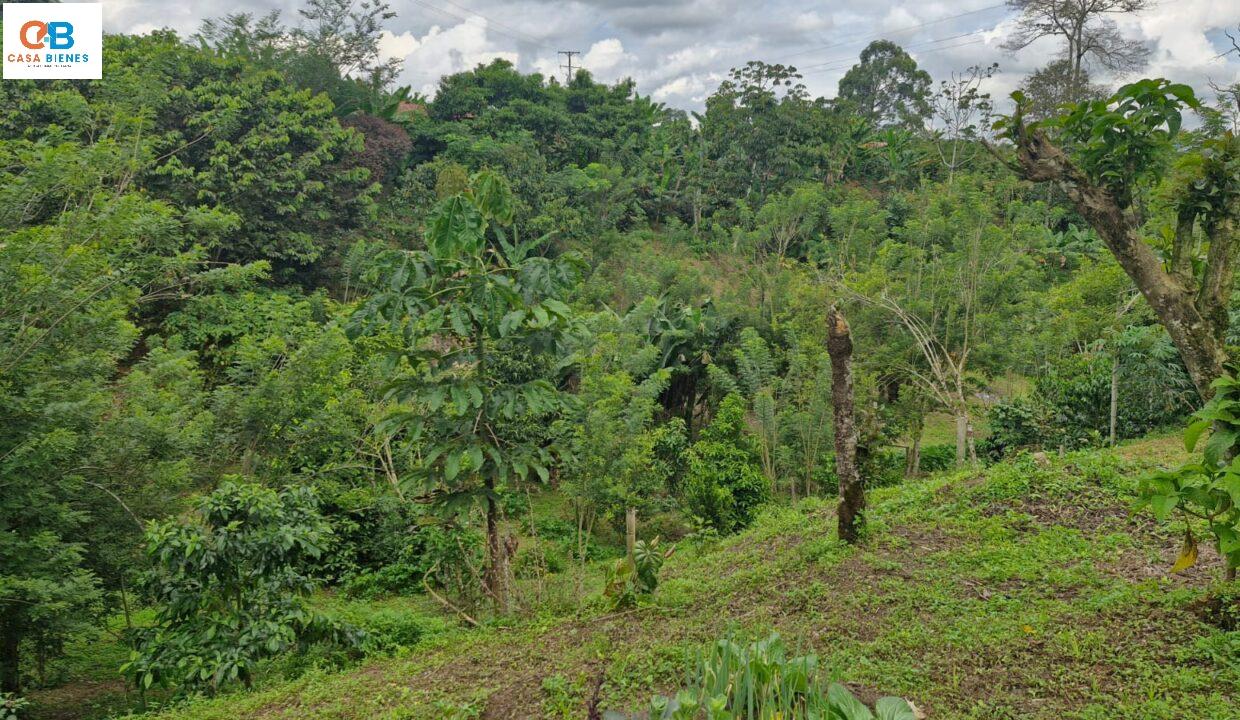 WhatsApp Image 2024-05-23 at 9.10.06 PM (1)