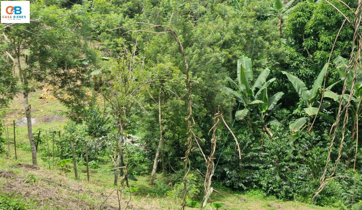 WhatsApp Image 2024-05-23 at 9.10.06 PM