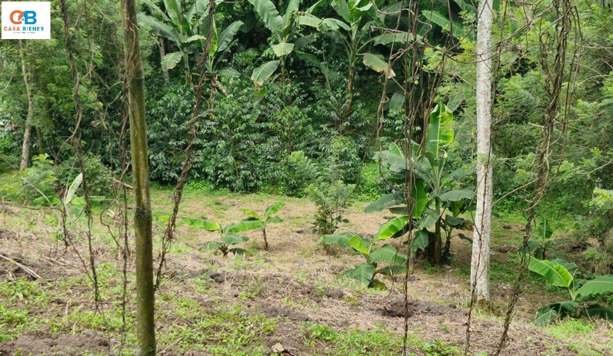 WhatsApp Image 2024-05-23 at 9.10.07 PM (2)