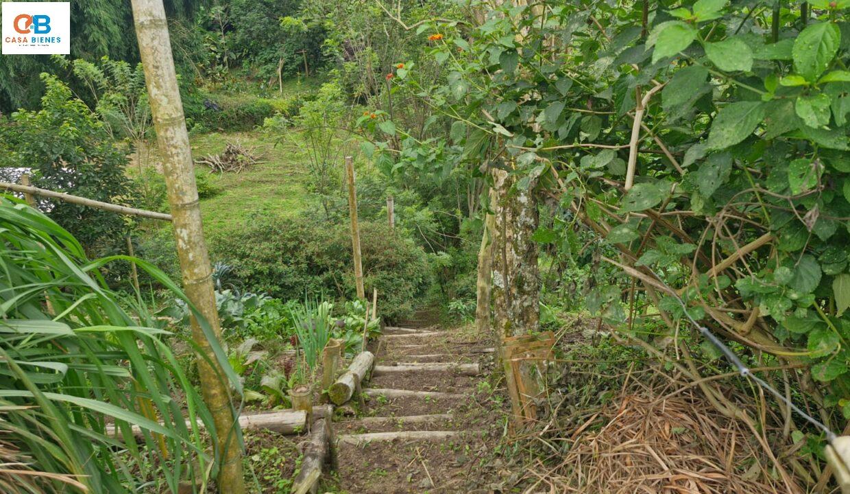 WhatsApp Image 2024-05-23 at 9.10.07 PM (3)