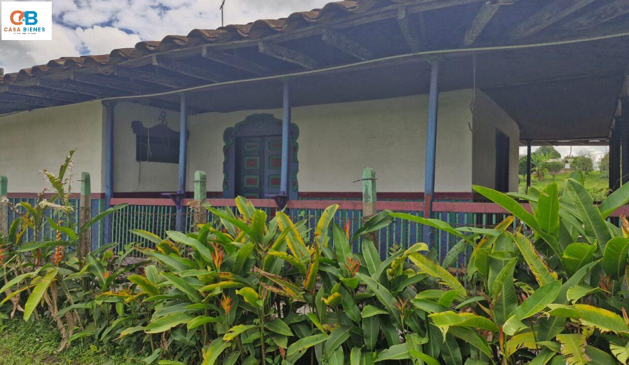 WhatsApp Image 2024-05-23 at 9.10.08 PM (1)