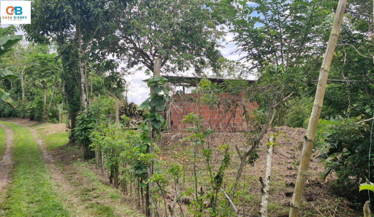 WhatsApp Image 2024-05-23 at 9.10.08 PM