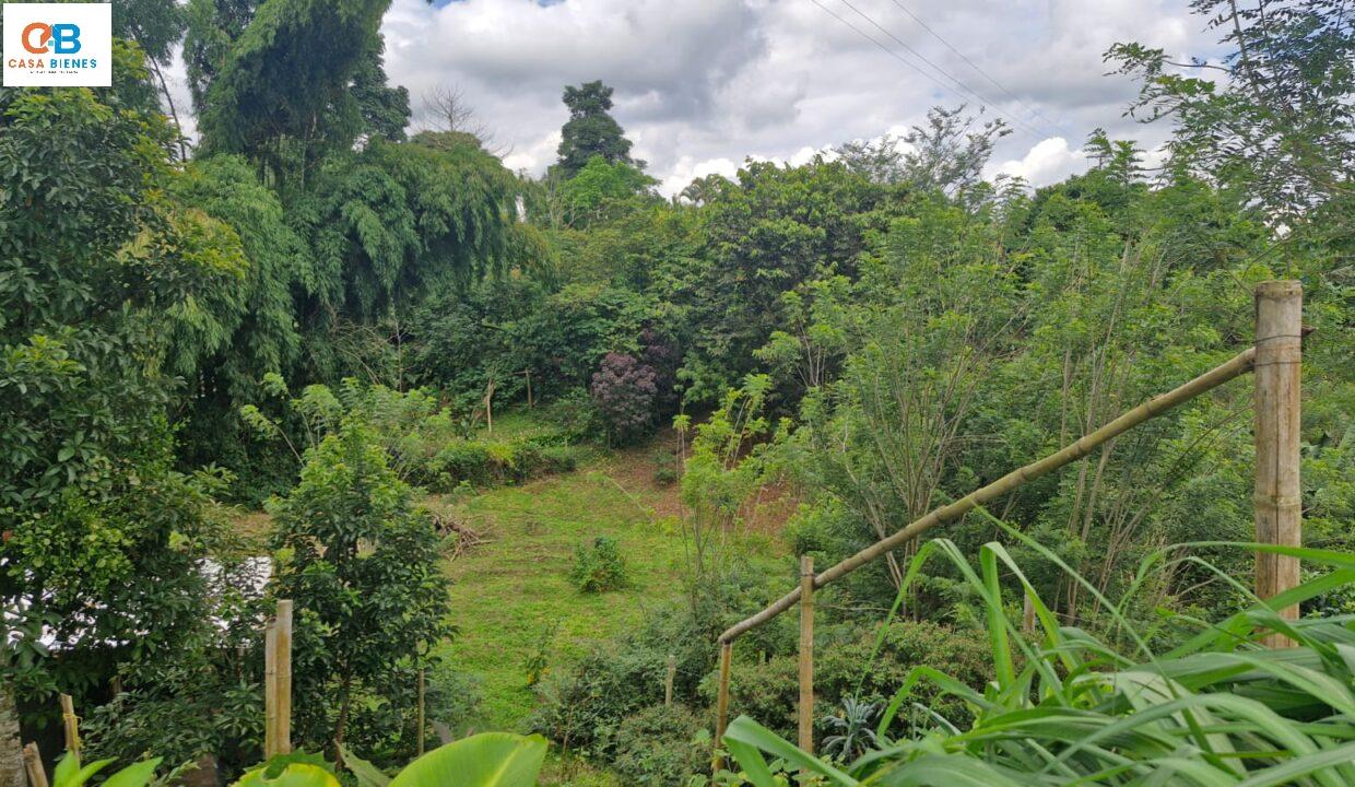 WhatsApp Image 2024-05-23 at 9.10.08 PM (3)