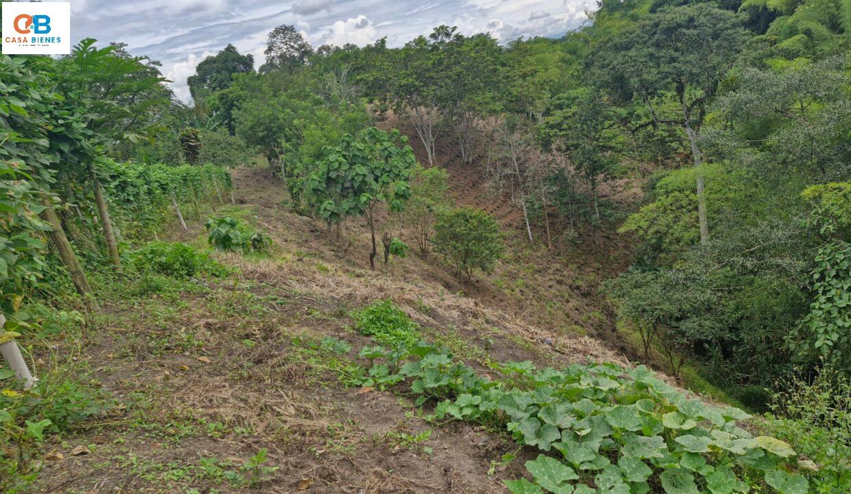 WhatsApp Image 2024-05-23 at 9.10.09 PM (2)