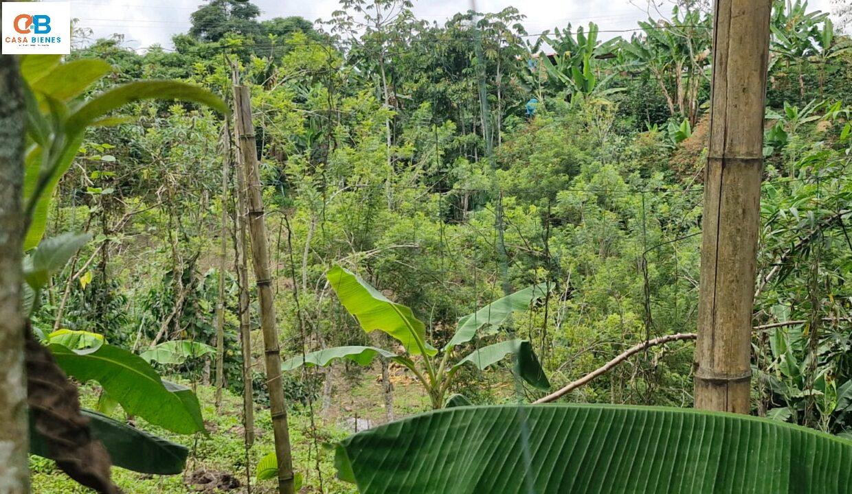 WhatsApp Image 2024-05-23 at 9.10.10 PM (1)