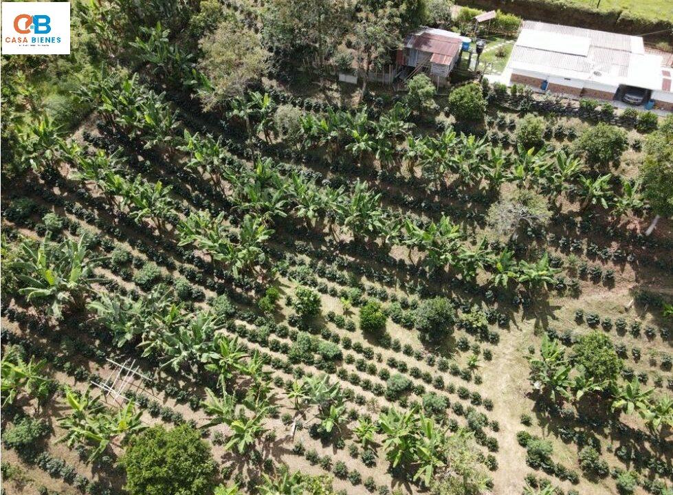 WhatsApp Image 2024-06-09 at 12.01.57 PM