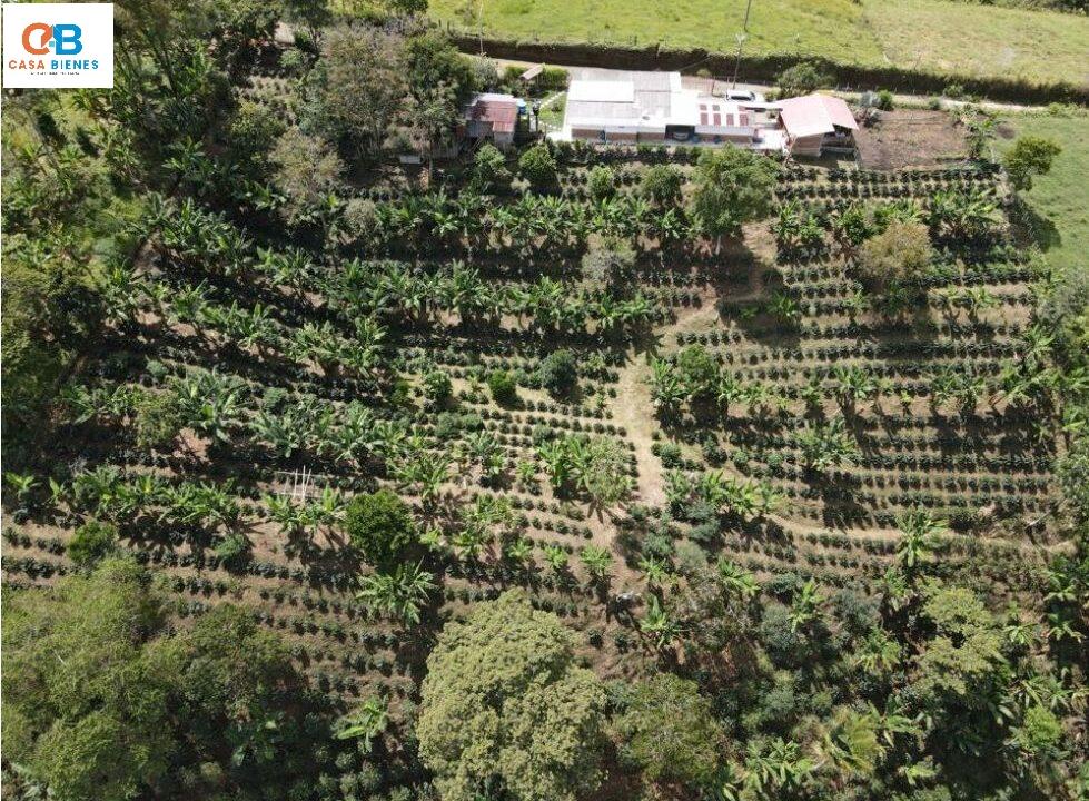 WhatsApp Image 2024-06-09 at 12.01.58 PM