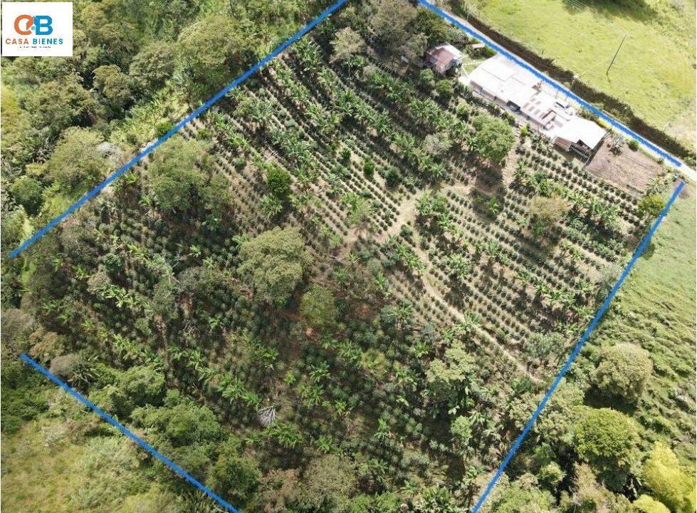 WhatsApp Image 2024-06-09 at 12.01.59 PM (1)