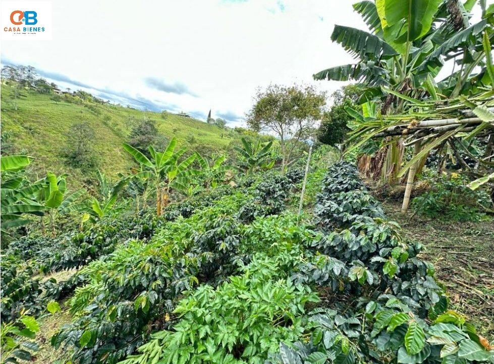 WhatsApp Image 2024-06-09 at 12.02.05 PM (2)