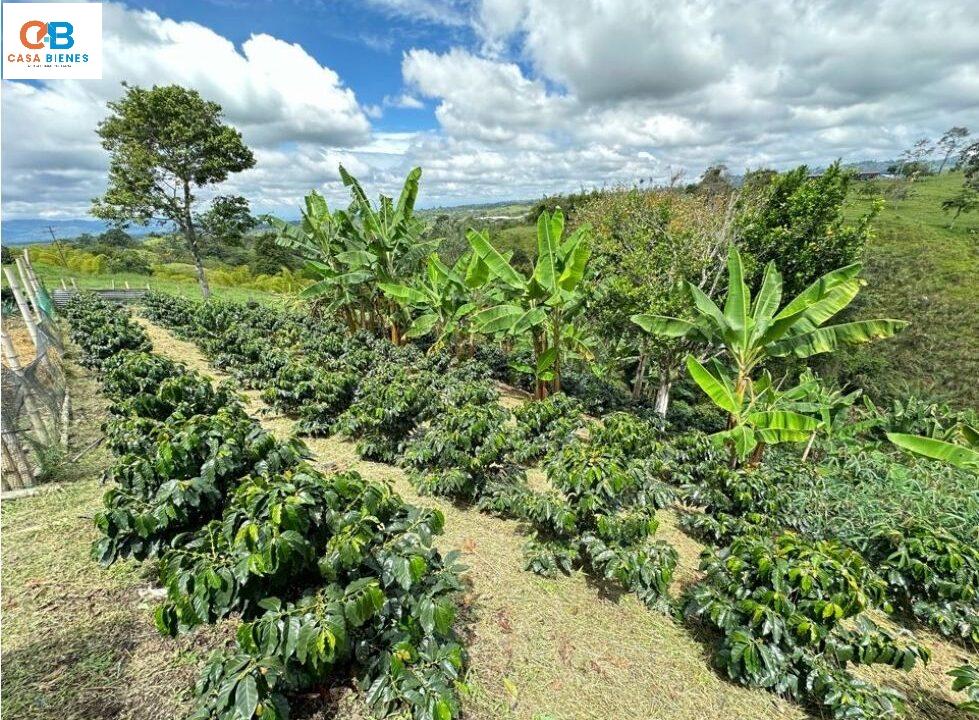 WhatsApp Image 2024-06-09 at 12.02.05 PM