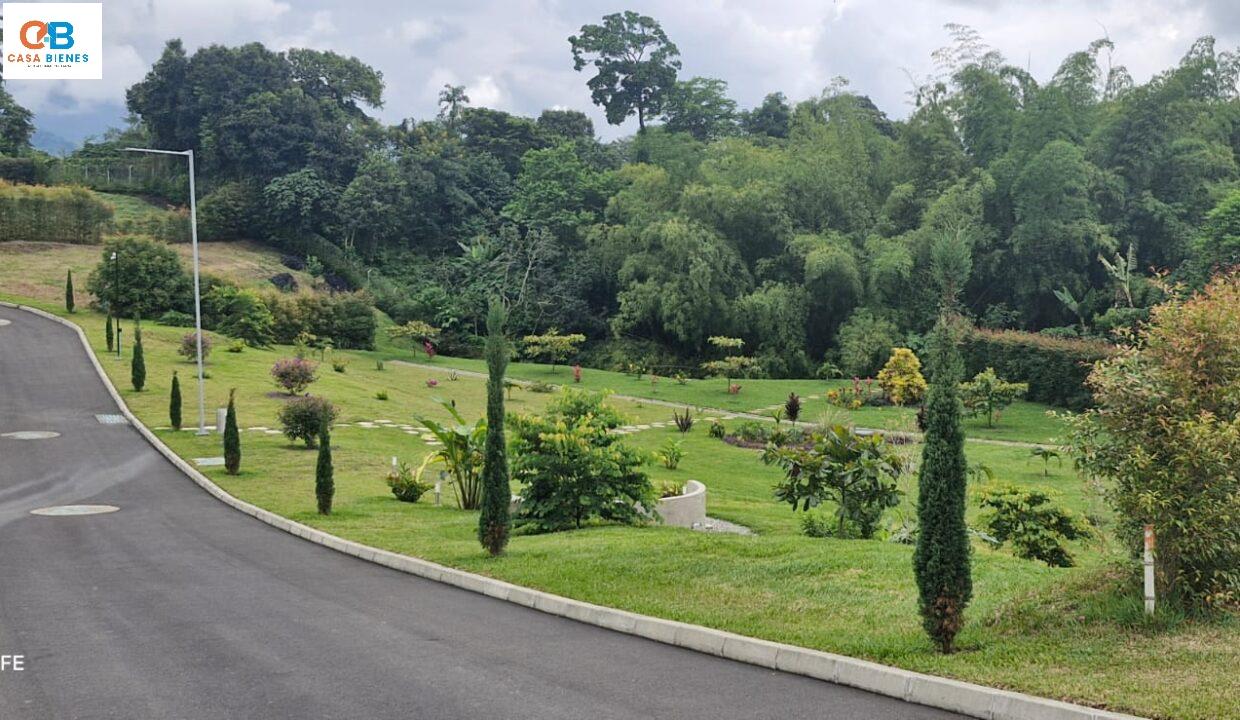 WhatsApp Image 2025-01-15 at 8.14.22 AM (6)