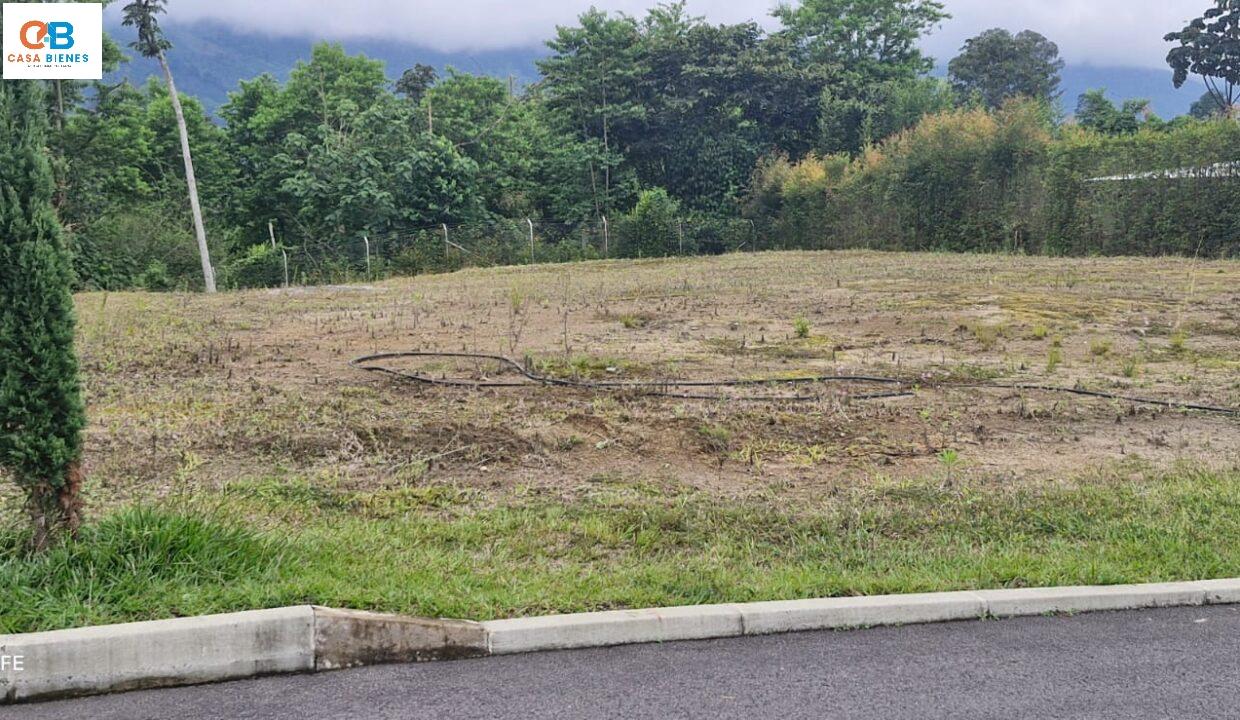 WhatsApp Image 2025-01-15 at 8.14.23 AM (1)