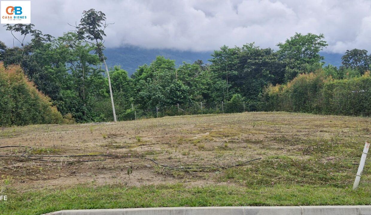 WhatsApp Image 2025-01-15 at 8.14.23 AM