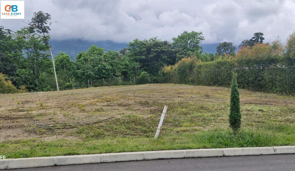 WhatsApp Image 2025-01-15 at 8.14.23 AM (3)