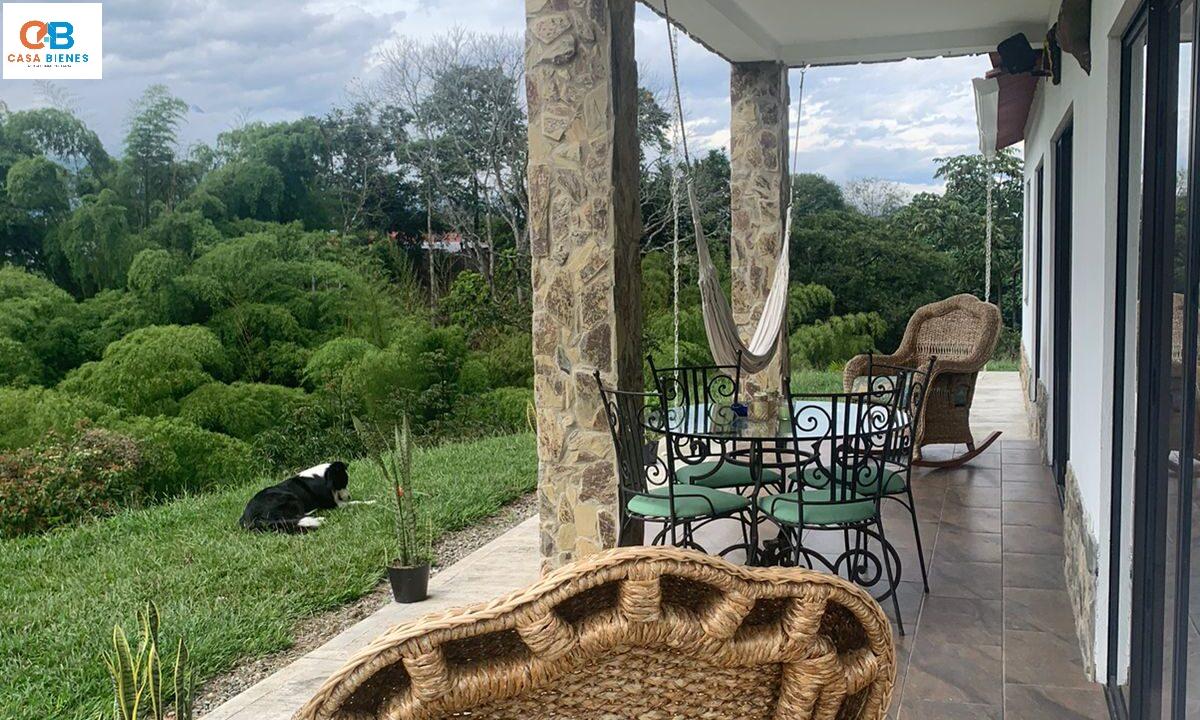 WhatsApp Image 2025-01-30 at 8.42.57 PM