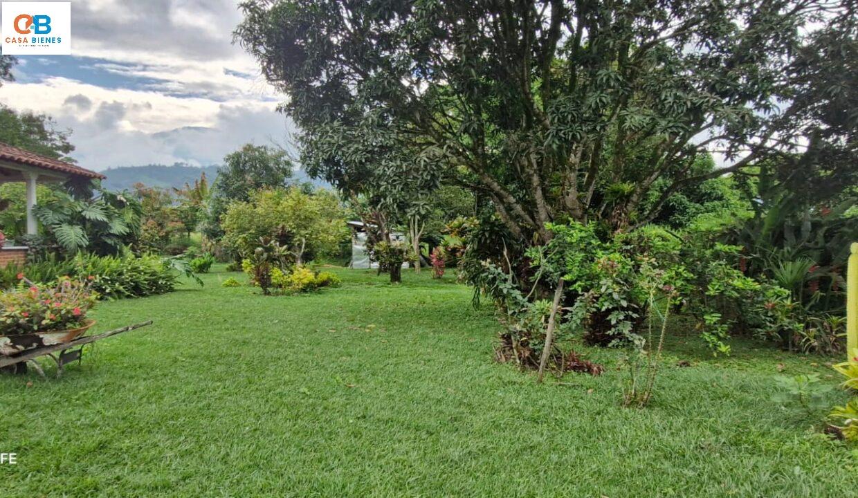 WhatsApp Image 2025-04-18 at 12.48.24 PM (4)