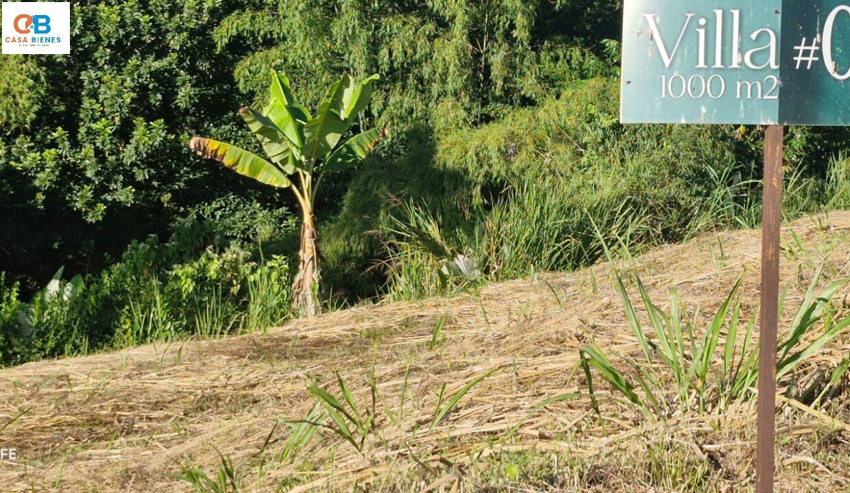 WhatsApp Image 2025-07-07 at 7.03.36 PM