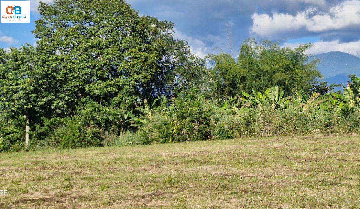 WhatsApp Image 2025-07-07 at 7.03.39 PM