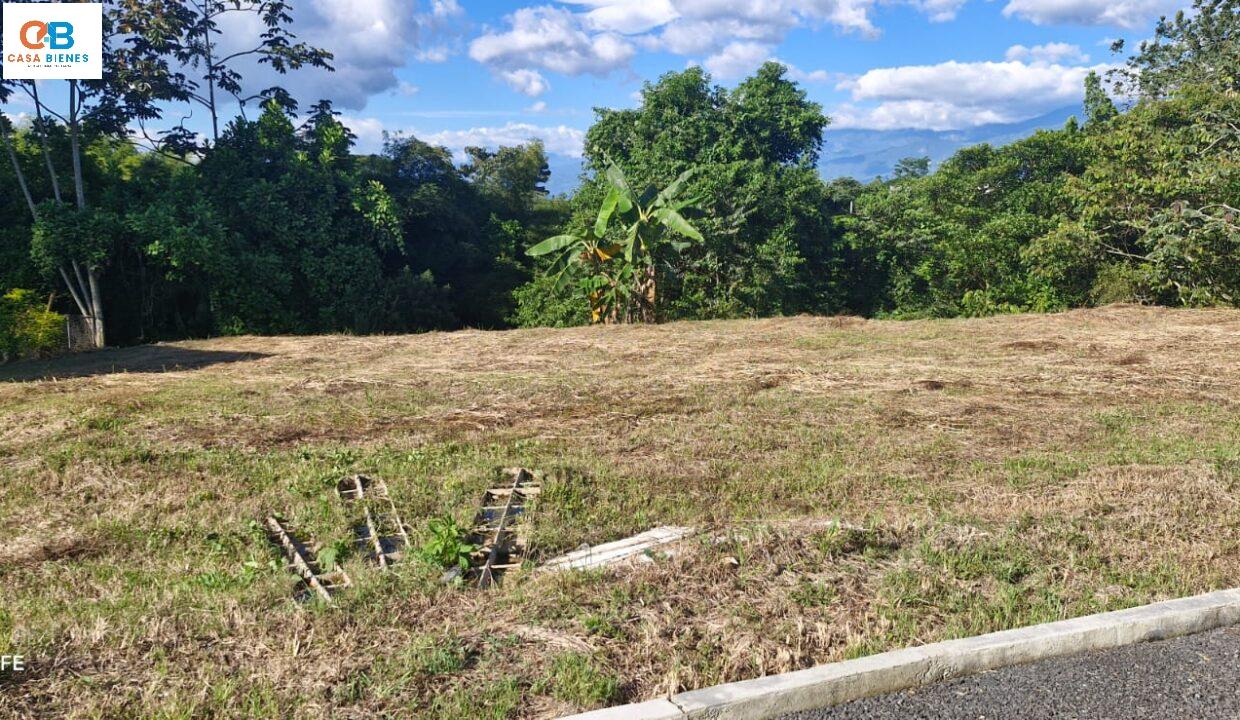 WhatsApp Image 2025-07-07 at 7.03.47 PM (1)