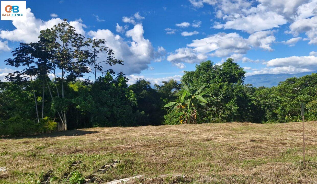 WhatsApp Image 2025-07-07 at 7.03.47 PM