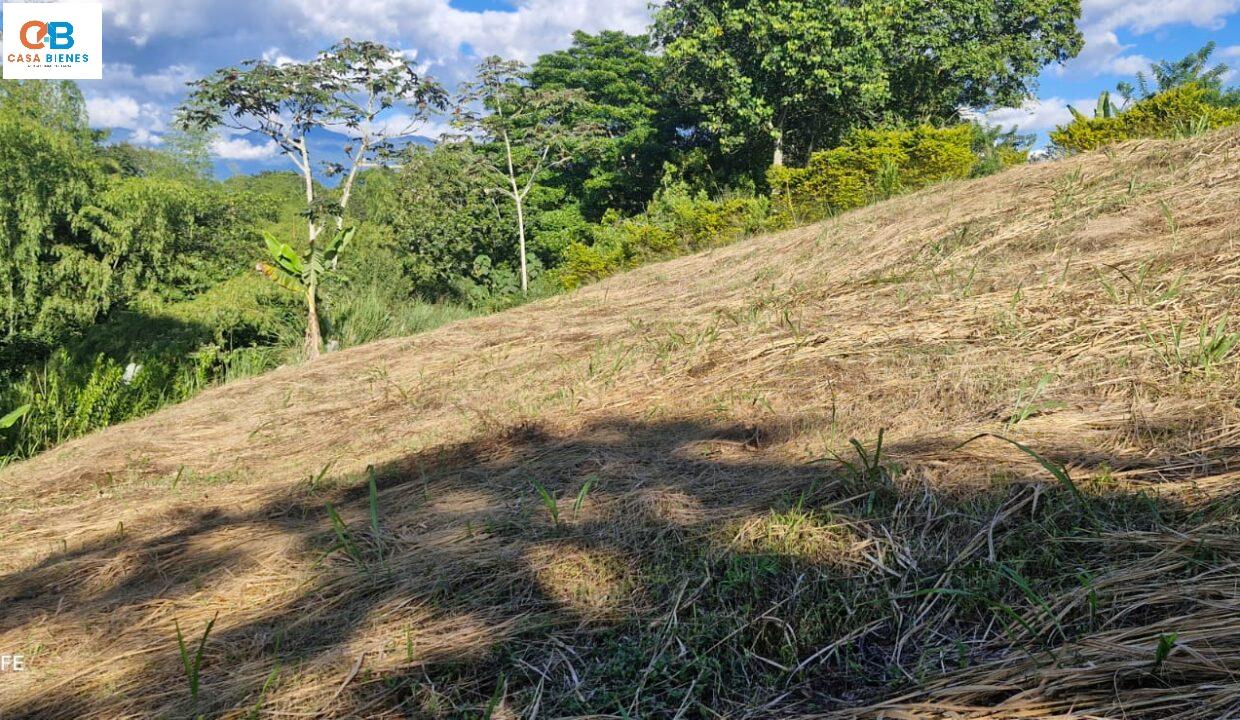 WhatsApp Image 2025-07-07 at 7.03.49 PM